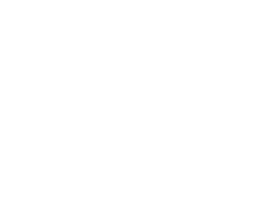 Project-developer